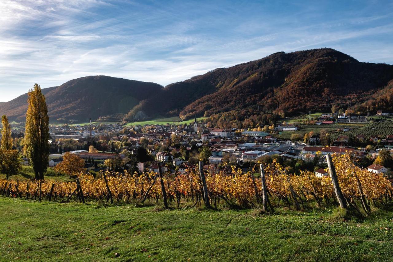 Dvorec Trebnik - Sobe Slovenske Konjice Exterior foto