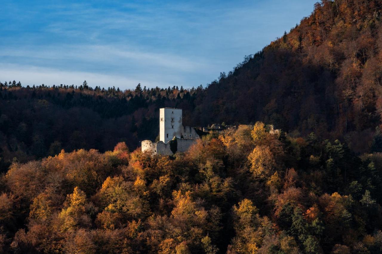 Dvorec Trebnik - Sobe Slovenske Konjice Exterior foto